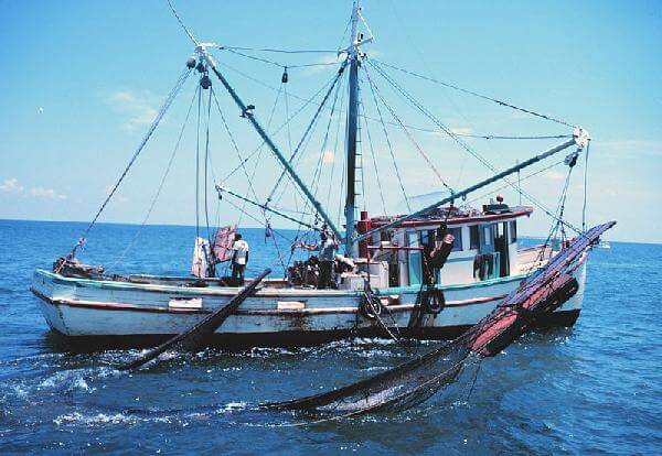  Fishing Vessels Plant 