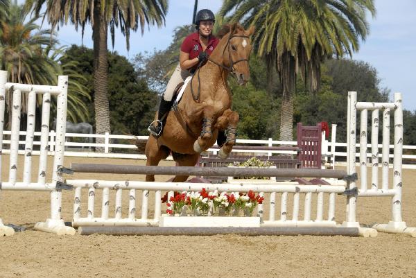 Equestrian Club